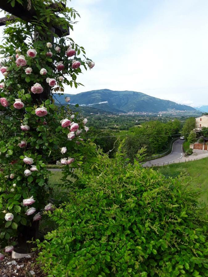 Locanda Bellavista Hotel Cavaso Del Tomba Exterior photo